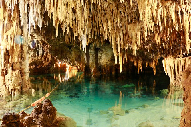 Half-Day Sea Turtle and Cenote Snorkeling Tour from Cancun & Riviera Maya - Stop 2: Parque de Cenotes Yax-Muul and the Freshwater Cave Swim