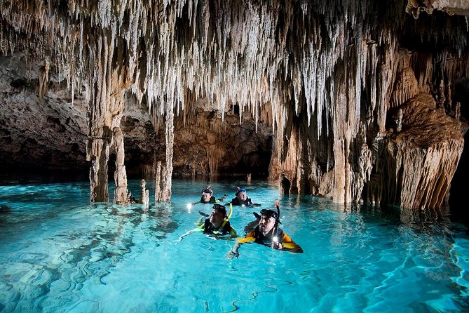 Half-Day Sea Turtle and Cenote Snorkeling Tour from Cancun & Riviera Maya - Safety and Wildlife Etiquette That Actually Changes the Day