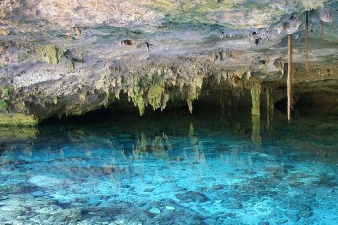 Half Day Semiprivate Snorkeling with Turtles and Majestic Cenote - Akumal Bay snorkeling with turtles: the part that feels effortless