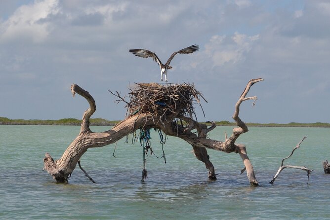 Half-Day Tour Discovering Sian Ka´an with Lunch - Why This Sian Ka’an Boat Day Works from Tulum