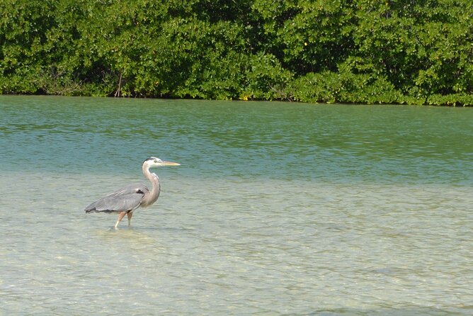 Half-Day Tour Discovering Sian Ka´an with Lunch - Guides and Captains: The Difference Between Visiting and Understanding
