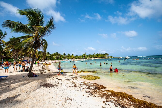 Half Day Tour: Turtles Encounter in Akumal Beach - Admission and the Marine Tax: the one extra cost to plan for