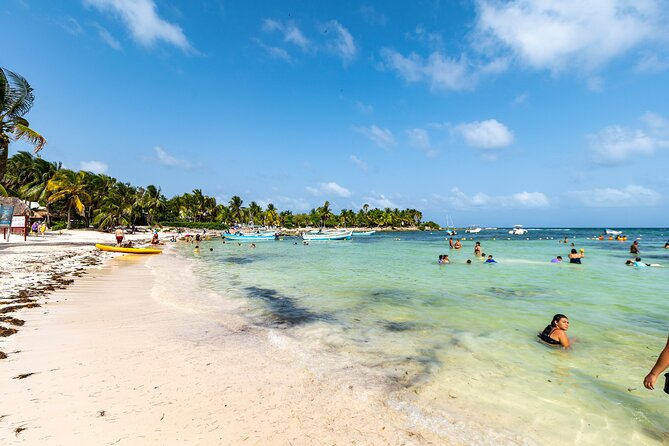 Half Day Tour: Turtles Encounter in Akumal Beach - Who should book this turtle encounter, and who might skip it