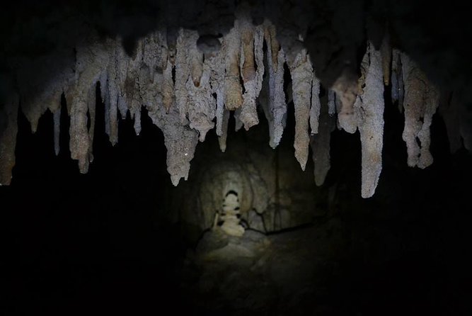 Hidden Cenote exploration in Playa del Carmen - Lunch on Site: The Real Value Add, Not Just a Meal Stop