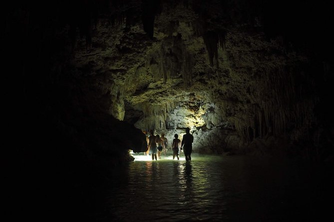 Hidden Cenote exploration in Playa del Carmen - Private Tour Pacing: Why Small Groups Feel Better Underground
