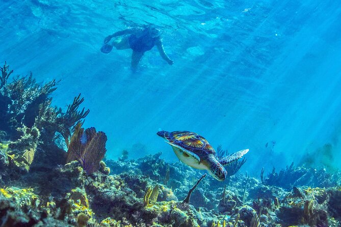 Hidden Cenote Swim: Snorkeling, Sea Turtles and Beachside Lunch - Small Tips That Make a Big Difference