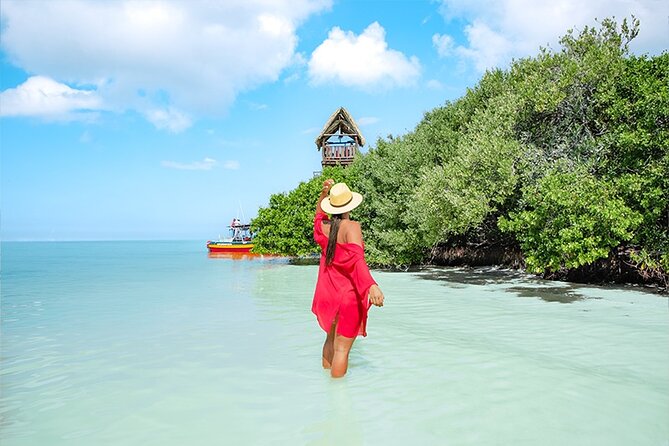 Holbox Island Adventure from Riviera Maya - Yalahau Lagoon swim: jungle water with a real cenote feel
