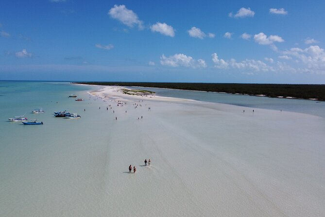 Holbox island: Boat tour & golf cart ride, Lunch and open bar - Key Things To Know Before You Go