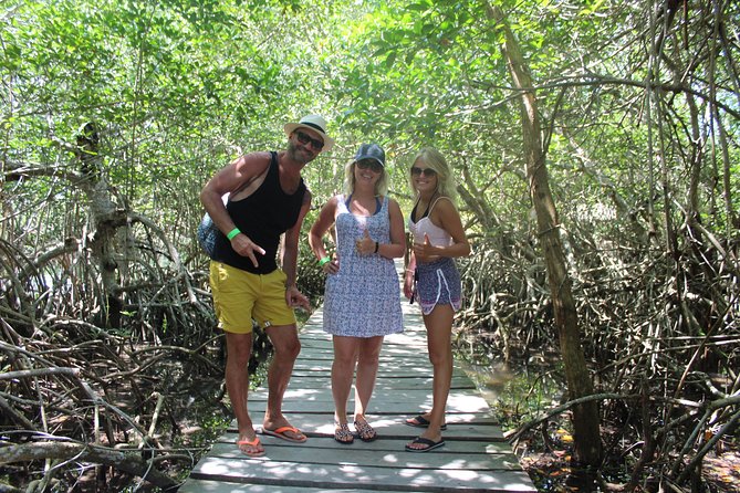 Holbox Island from Playa del Carmen - Isla Holbox: what 5 hours on the island is really like