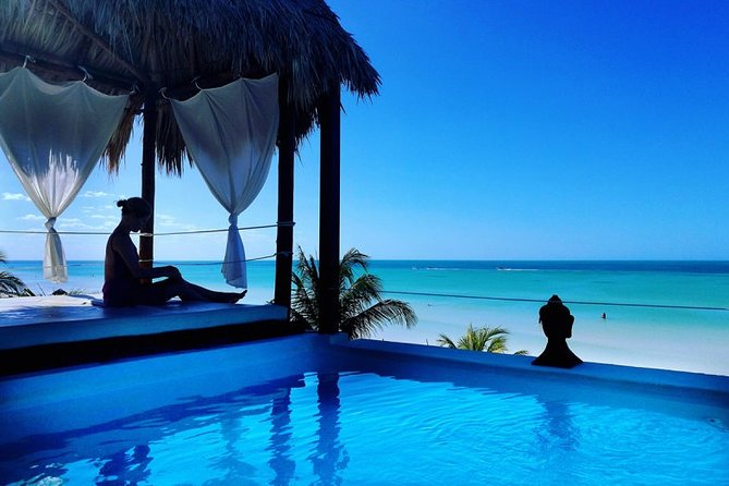 Holbox Island Full Day Trip with Lunch From Playa del Carmen - Isla Pasión: Wildlife Views Meet Mosquito Reality