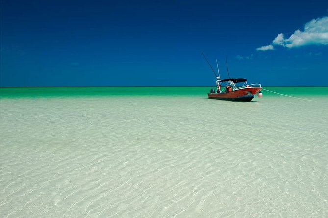 Holbox Island Full Day Trip with Lunch From Playa del Carmen - Lunch With Ocean Views: Typical Food, Real Options