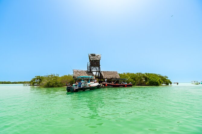 Holbox Island Tour in Mexico with Lunch - Getting From Playa del Carmen to the Coast: Bus, Boat, and Timing