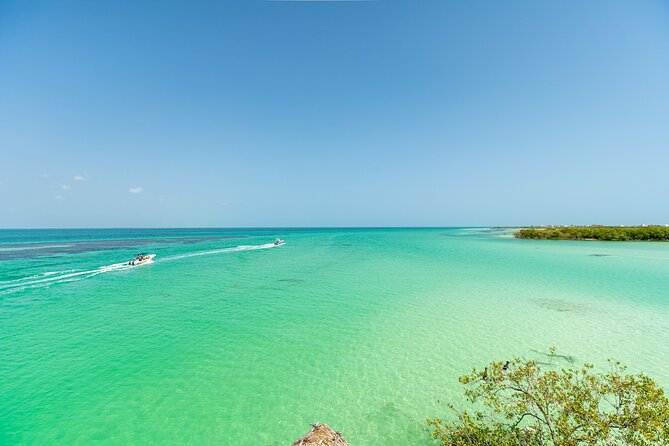 Holbox Island Tour in Mexico with Lunch - Stop 2: Isla de la Pasion and Seasonal Bird Watching