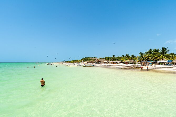 Holbox Island Tour with Pasion Island and Punta Mosquito - Price and value: what $119.69 really buys