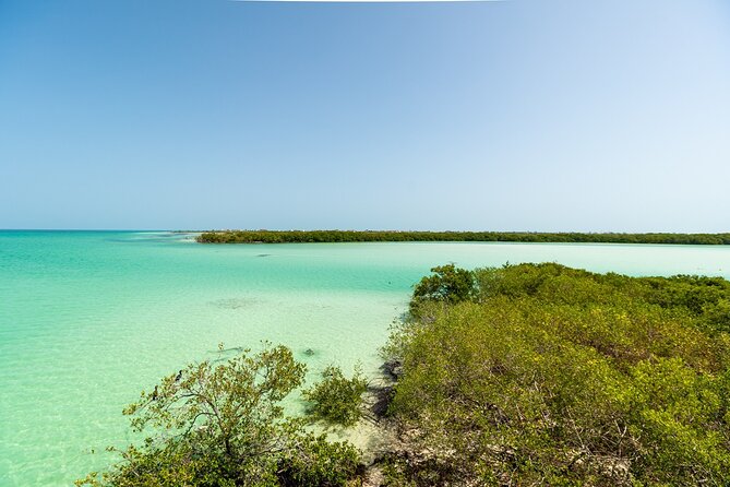 Holbox Island Tour with Pasion Island and Punta Mosquito - Punta Mosquito: quiet nature time with flora and fauna