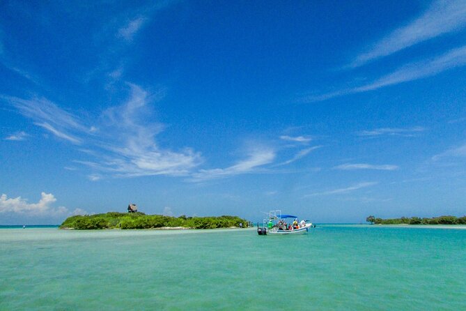 Holbox Island Tour with Pasion Island and Punta Mosquito - Group size, language, and how you’ll experience the day