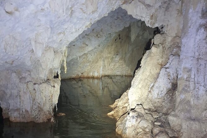 Horse Ride to Cenote Mil Columnas - Price and value: what $104.73 buys you in Tulum