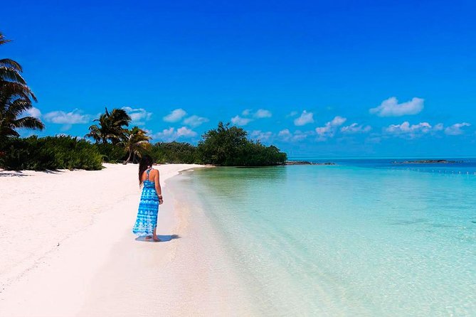Isla Contoy Adventure Tour & Isla Mujeres from Playa del Carmen - Getting to Punta Sam: Early Start From Playa del Carmen (and the Real Transfer Time)