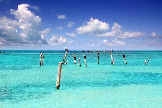 Isla Contoy Adventure Tour & Isla Mujeres from Playa del Carmen - Food on Contoy + Snacks to Consider: How to Stay Comfortable