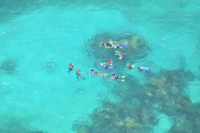 Isla Contoy Adventure Tour & Isla Mujeres from Playa del Carmen - Price and Value: What’s Included, What’s Extra, and What You Should Budget For