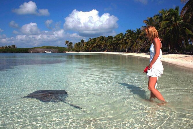 Isla Contoy Hidden Beauty! Transportation from Riviera Maya - Booking tip: how to get the day working for you