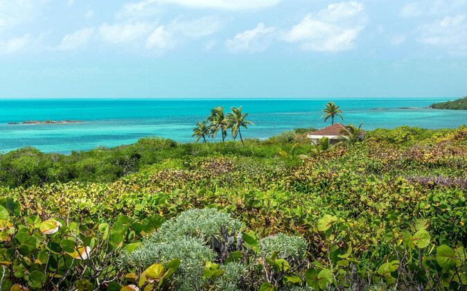 Isla Contoy & Isla Mujeres (from Playa del Carmen) - Key Takeaways Before You Go