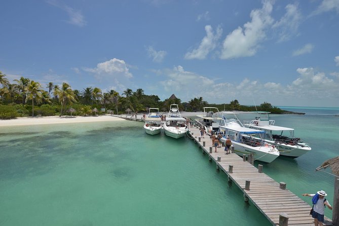 Isla Contoy & Isla Mujeres (from Playa del Carmen) - From Playa del Carmen: Early Start, Smooth Flow