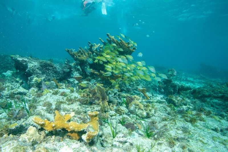 Isla Mujeres: Full Day Private Catamaran with Snorkeling - Lunch at the Beach Club: Food, Drinks, and a Real Break