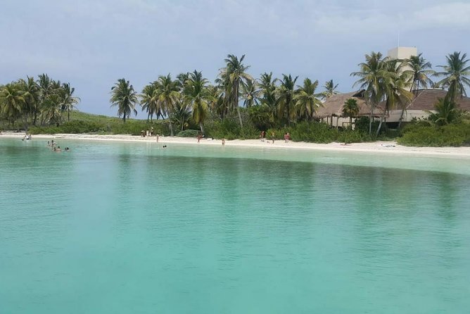 Isla Mujeres Unlimited! Fun & Party with transportation - The day’s rhythm: pickup, marina, and why timing matters