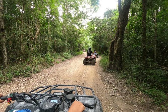Jungle ATV Adventure: Unveiling Akumal's Enchanting Cenotes - Tulum to Akumal: the air-conditioned van setup that keeps the day smooth