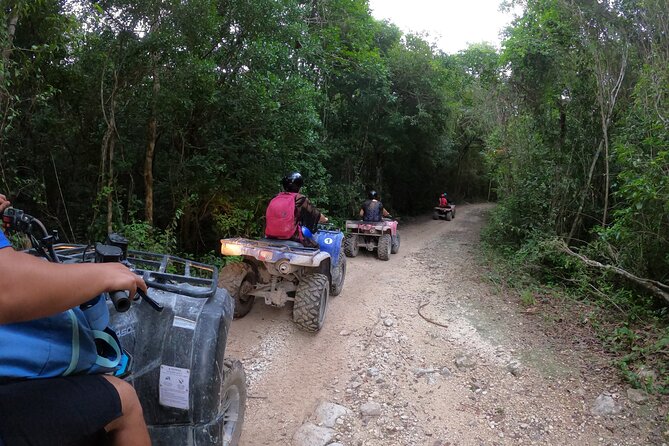 Jungle ATV Adventure: Unveiling Akumal's Enchanting Cenotes - A second, secluded cenote reserved for wildlife: calm rules, better context
