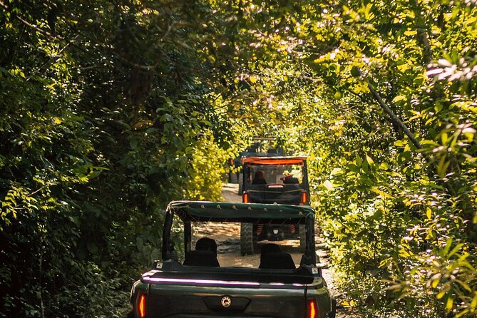 Jungle Buggy Day Tour - Vehicle expectations: the ATV question and pace reality