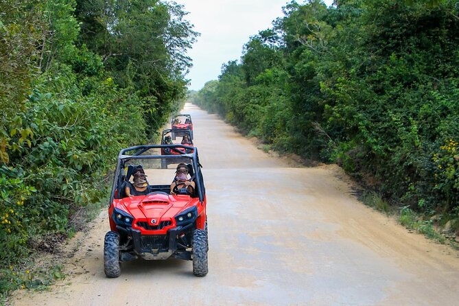 Jungle Buggy Tour from Playa del Carmen Including Cenote Swim - What This Jungle Buggy + Cenote Day Feels Like