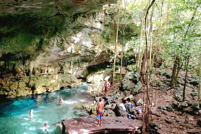 Jungle Buggy Tour from Playa del Carmen Including Cenote Swim - The Buggy Experience: Driving the Can-Am Through Riviera Maya Jungle