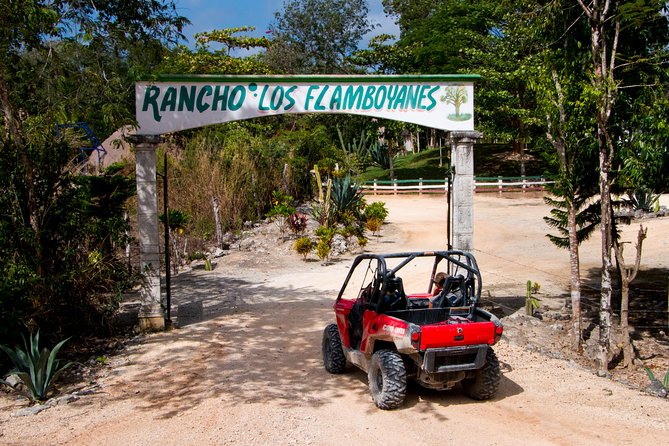 Jungle Buggy Tour from Playa del Carmen Including Cenote Swim - Guides Who Set the Tone: Fernando, Rigo, Ricardo, and Emmanuel