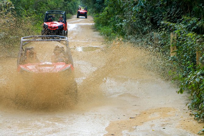 Jungle Buggy Tour from Playa del Carmen Including Cenote Swim - Group Size: Small, But You’ll Want to Know the Cap