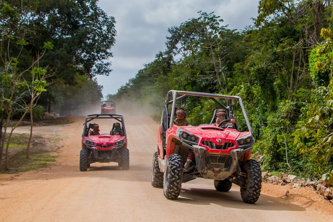Jungle Buggy Tour from Playa del Carmen Including Cenote Swim - Getting There: Pickup Areas and the Coco Bongo Meeting Point