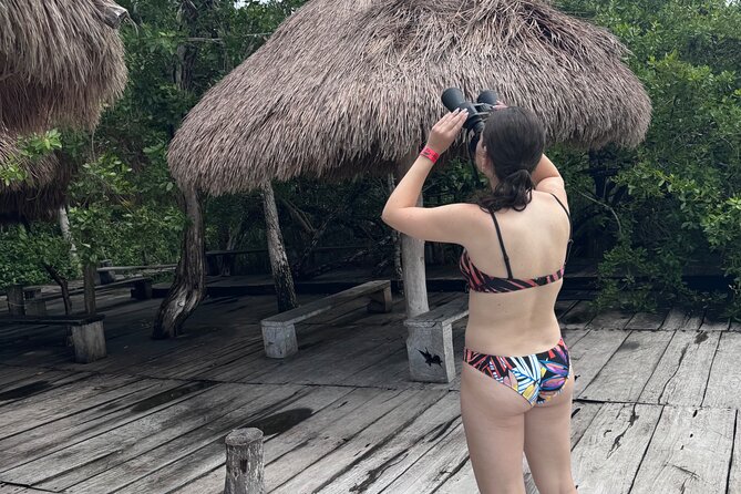 Kaan Luum Lagoon and Cenote Adventure - Luis and Jorge: The Real Reason the Day Feels Easy