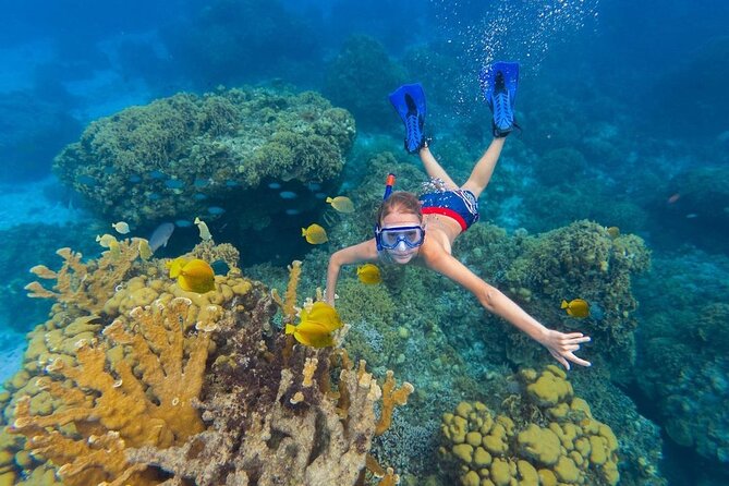 Kaan Luum Lagoon and Cenote Snorkel Tour in Tulum - Price and Value: What $79 Covers, and What Adds Up