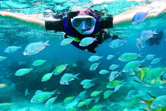 Kaan Luum Lagoon and Cenote Snorkel Tour in Tulum - Stop 2: Laguna Kaan Luum Swim (Why the Pace Feels Different)