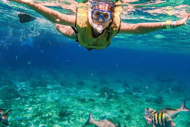 Kaan Luum Lagoon and Cenote Snorkel Tour in Tulum - Stop 1: Playa Maya Reef Snorkel (What You’ll Be Doing)