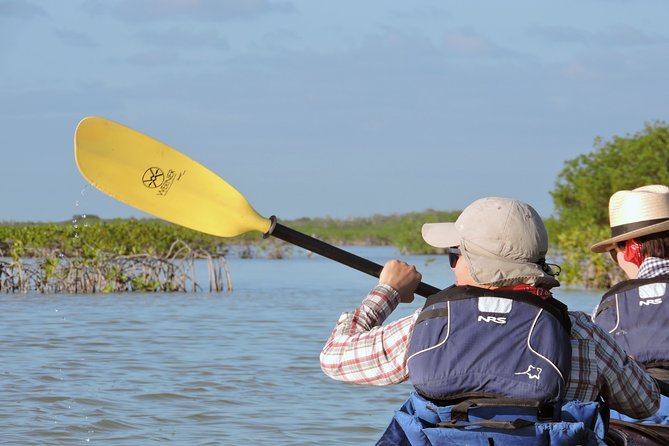 Kayak Sian Ka’an Biosphere Reserve Sunset Tour - Guides Make (or Break) This Experience