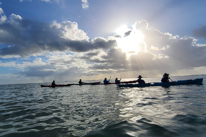 Kayak Sian Ka’an Experience - Stop 1: Sian Ka’an Biosphere Reserve, paddling through mangroves and lagoons
