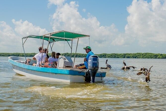 Las Coloradas & Rio Lagartos Biosphere! Transportation from Playa Del Carmen - Price and time: what $131 really buys you
