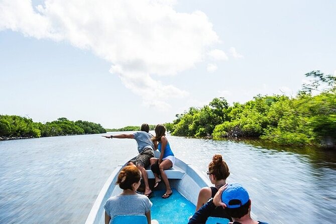 Las Coloradas & Rio Lagartos Biosphere! Transportation from Playa Del Carmen - Transportation and timing: the secret to enjoying a long day trip