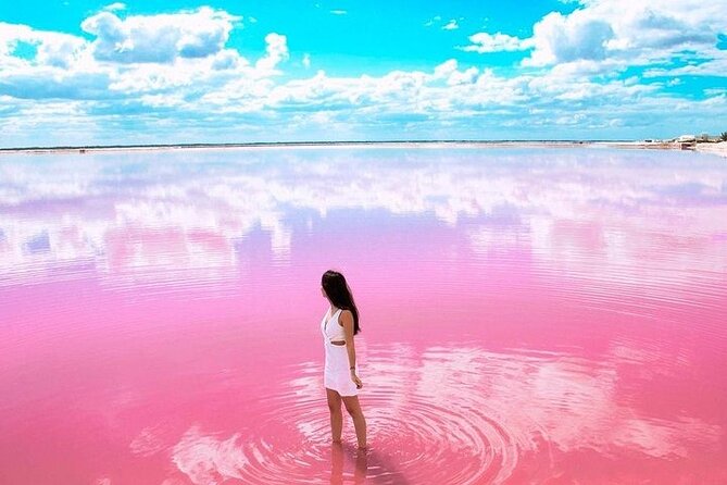 Las Coloradas & Rio Lagartos Biosphere! Transportation from Playa Del Carmen - Who should book this Las Coloradas + Rio Lagartos day trip?
