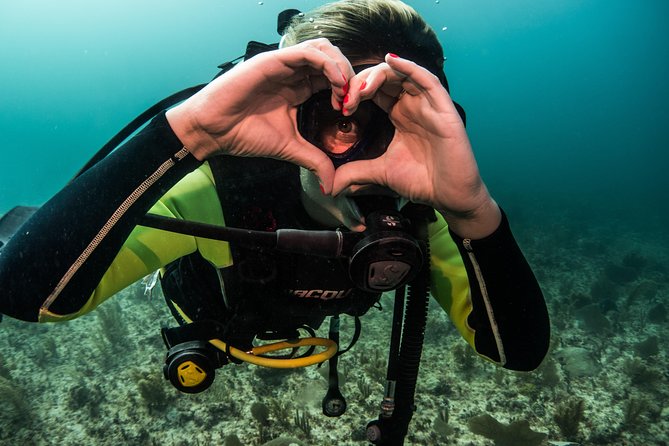 Local Dive in Playa del Carmen - Bull Sharks in Season: What to Expect and When to Aim
