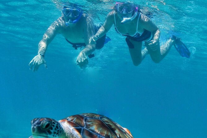 Luxury Sailing & Snorkeling Experience from Riviera Maya - A half-day catamaran that actually feels like a vacation