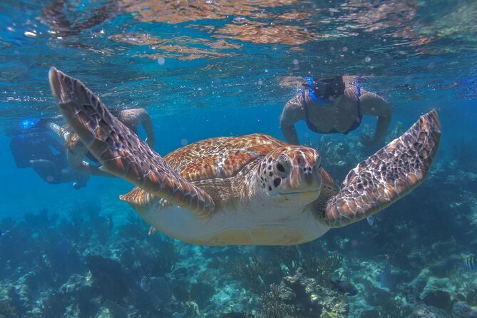 Luxury Sailing & Snorkeling Experience from Riviera Maya - Getting there from Playa del Carmen: pickup, Puerta Aventuras, and timing
