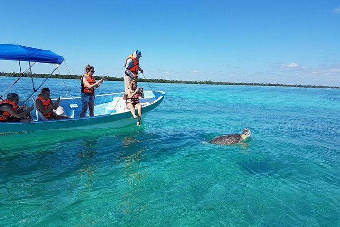 Magic Sian ka'an Deluxe two boats - Getting from Tulum to the reserve: the minivan-to-pier flow